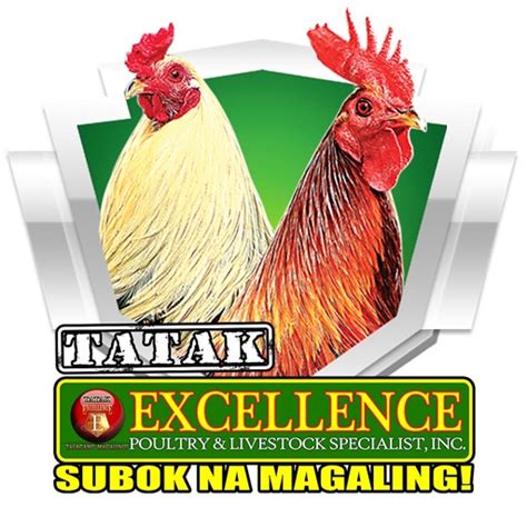 tatak excellence logo|Tatak Excellence .